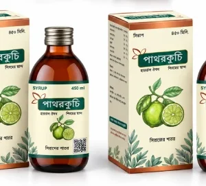 পাথরকুচি প্লাস - ২ ফাইল ফুল কোর্স